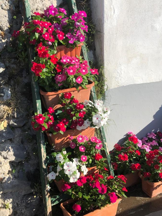 L'antica Casa-a Beautiful View. Guest house Amalfi